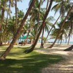 Lag Trsm- Palm Badagry