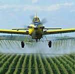 SPRAYING INSECTICIDE