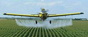 SPRAYING INSECTICIDE