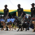Police-Deploy-K9-Dogs-Across-the-Country-25