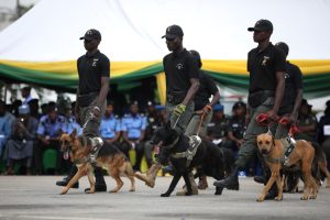 Police-Deploy-K9-Dogs-Across-the-Country-25