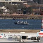 AMERICAN EAGLE IN POTOMAC RIVER