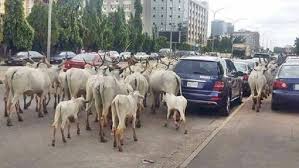 OPEN GRAZING- 2